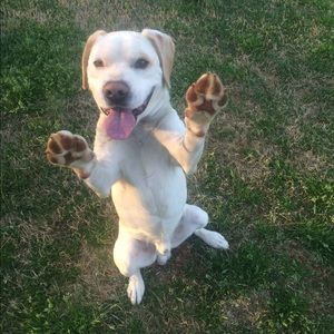 Meet your Posher, Brittany